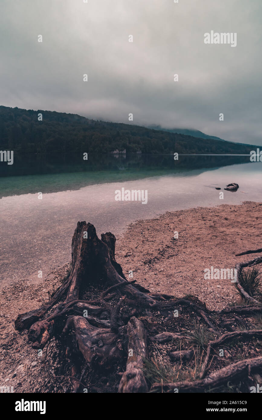 Crack of dawn on Lake Bohinj in Slovenia, beautiful tranquil landscape with autumnal fog on the lakeshore Stock Photo