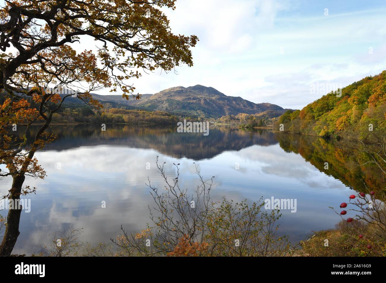 Scenic view showing Autumn colours along Loch Achray toward Ben Venue in the Trossachs, Stirlingshire, Scotland, UK Stock Photo