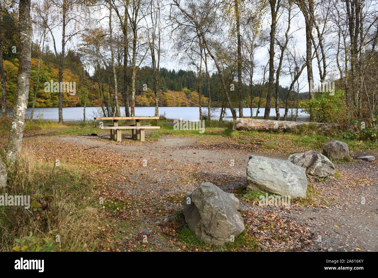 A picnic area on the shore of Loch Drunkie on the Three Lochs forest drive in the Trossachs area of Scotland, UK, Europe Stock Photo