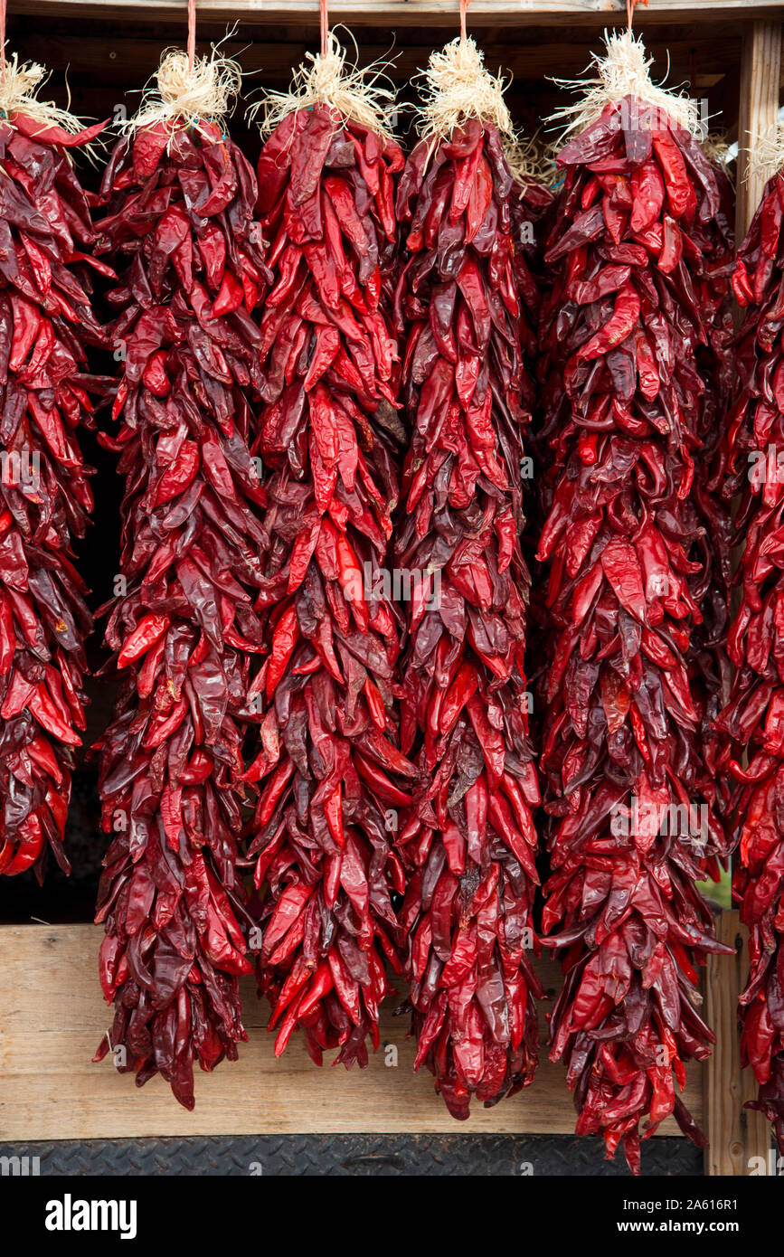 Dried Red Chili Pepper