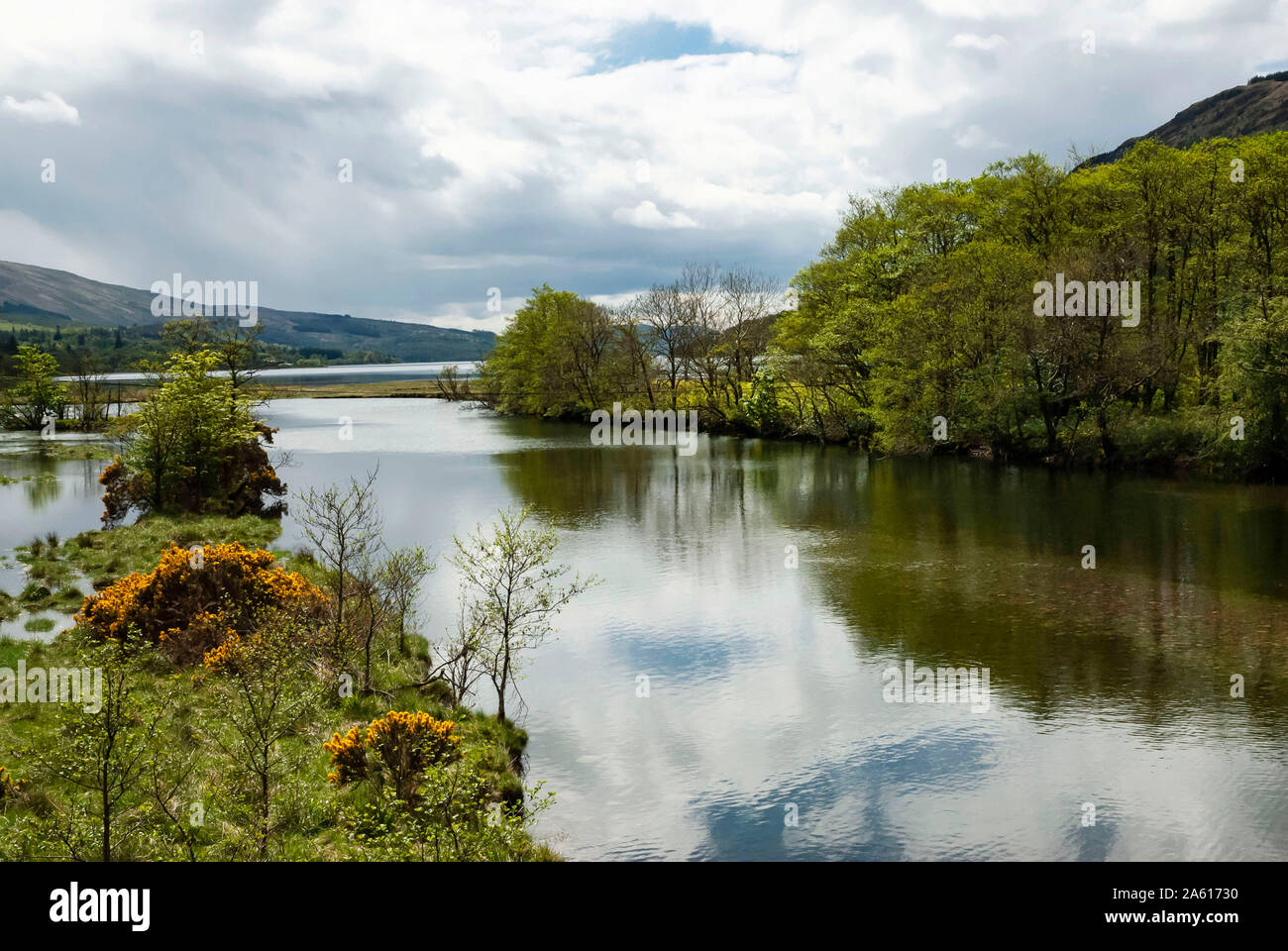 Loch Fyne, Argyll and Bute, Scotland, United Kingdom, Europe Stock Photo