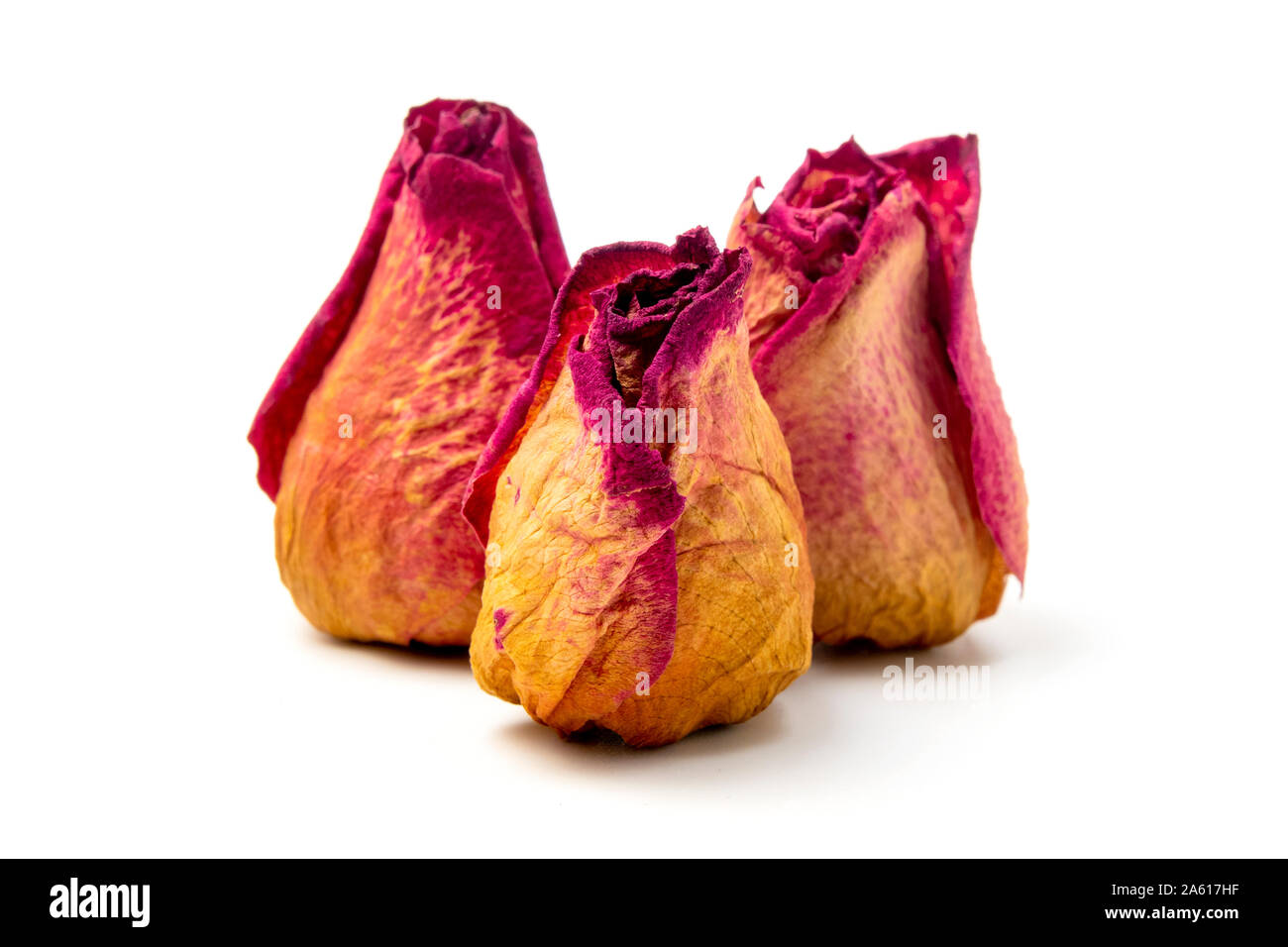 Rose potpourri on a white background Stock Photo Alamy