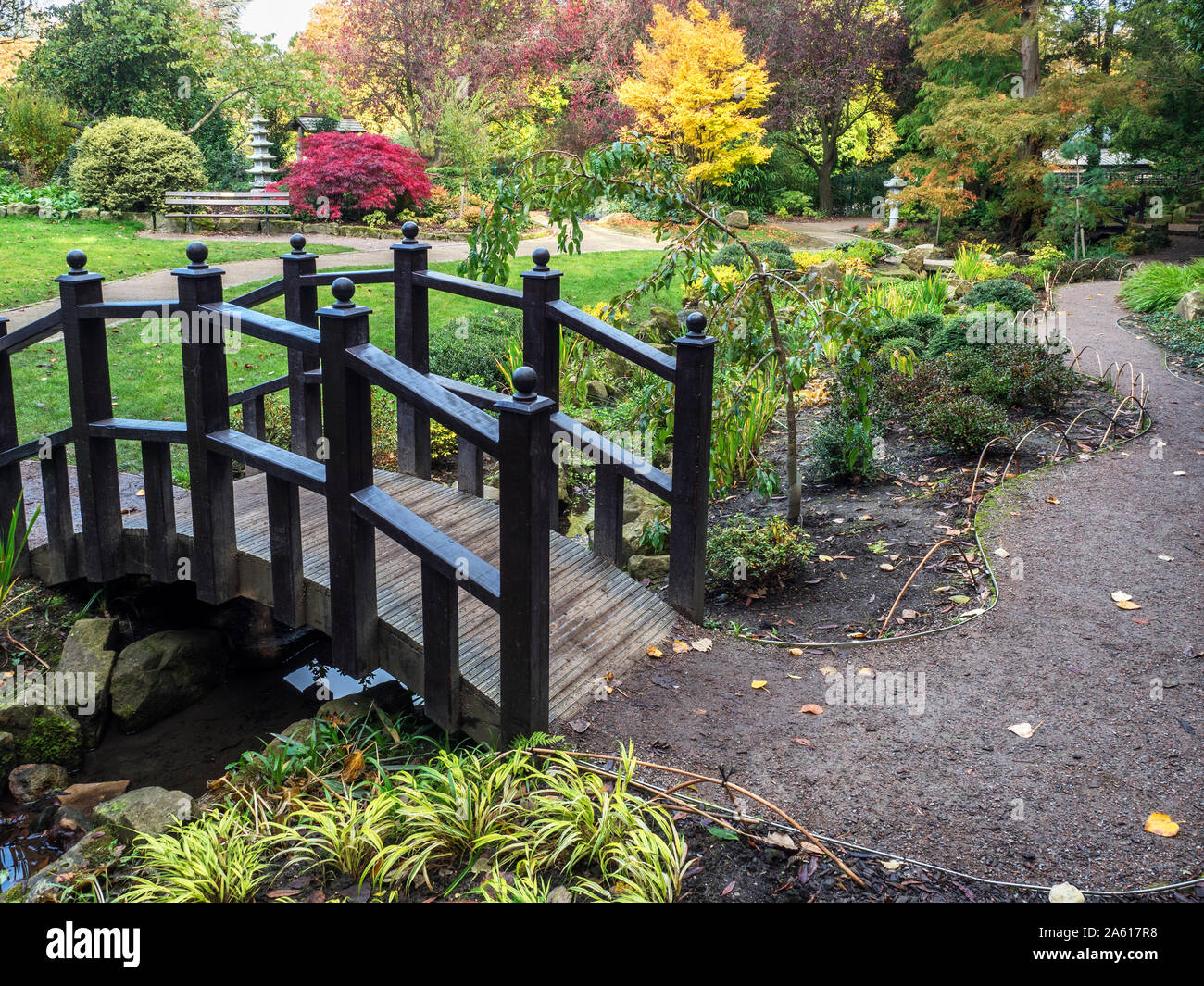 Footbridge in the Japanese Garden in autumn at Valley Gardens in Harrogate North Yorkshire England Stock Photo