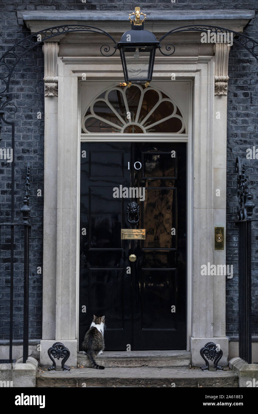 Larry the cat outside 10 Downing Street where he is the current Chief Mouser to the Cabinet Office, Whitehall, London, UK Stock Photo