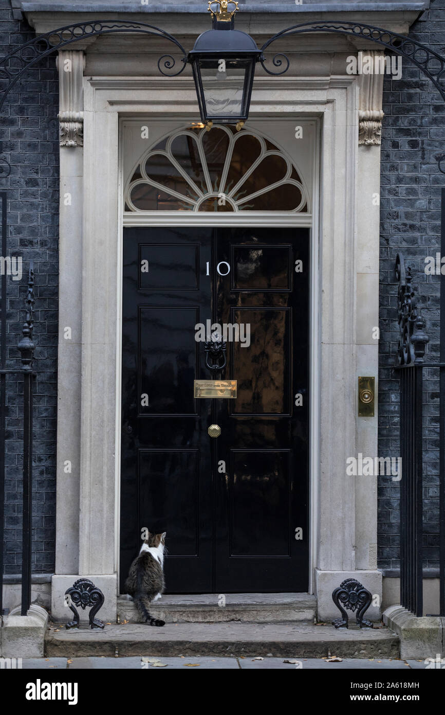 Larry the cat outside 10 Downing Street where he is the current Chief Mouser to the Cabinet Office, Whitehall, London, UK Stock Photo