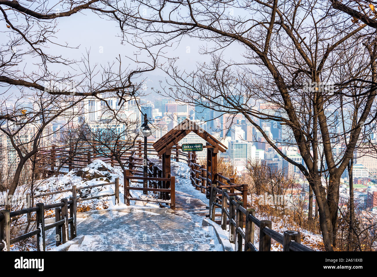 Trees in Namsan Mountain in winter with snow on the ground, with