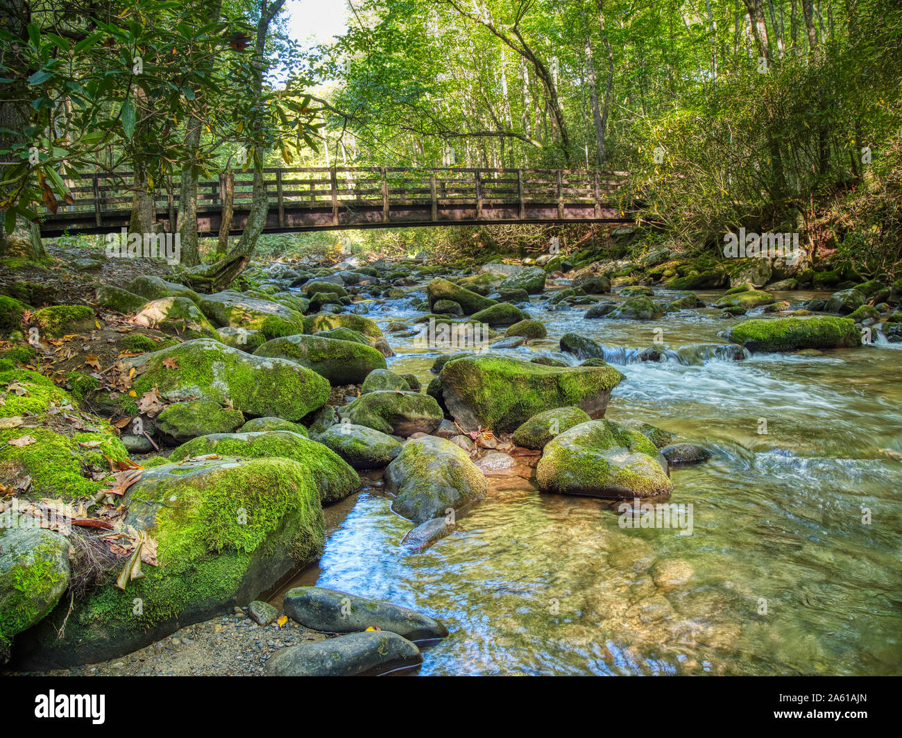 Little Pigeon River in the Greenbrier area of  Great Smoky Mountains National Park in Tennessee in the United States Stock Photo