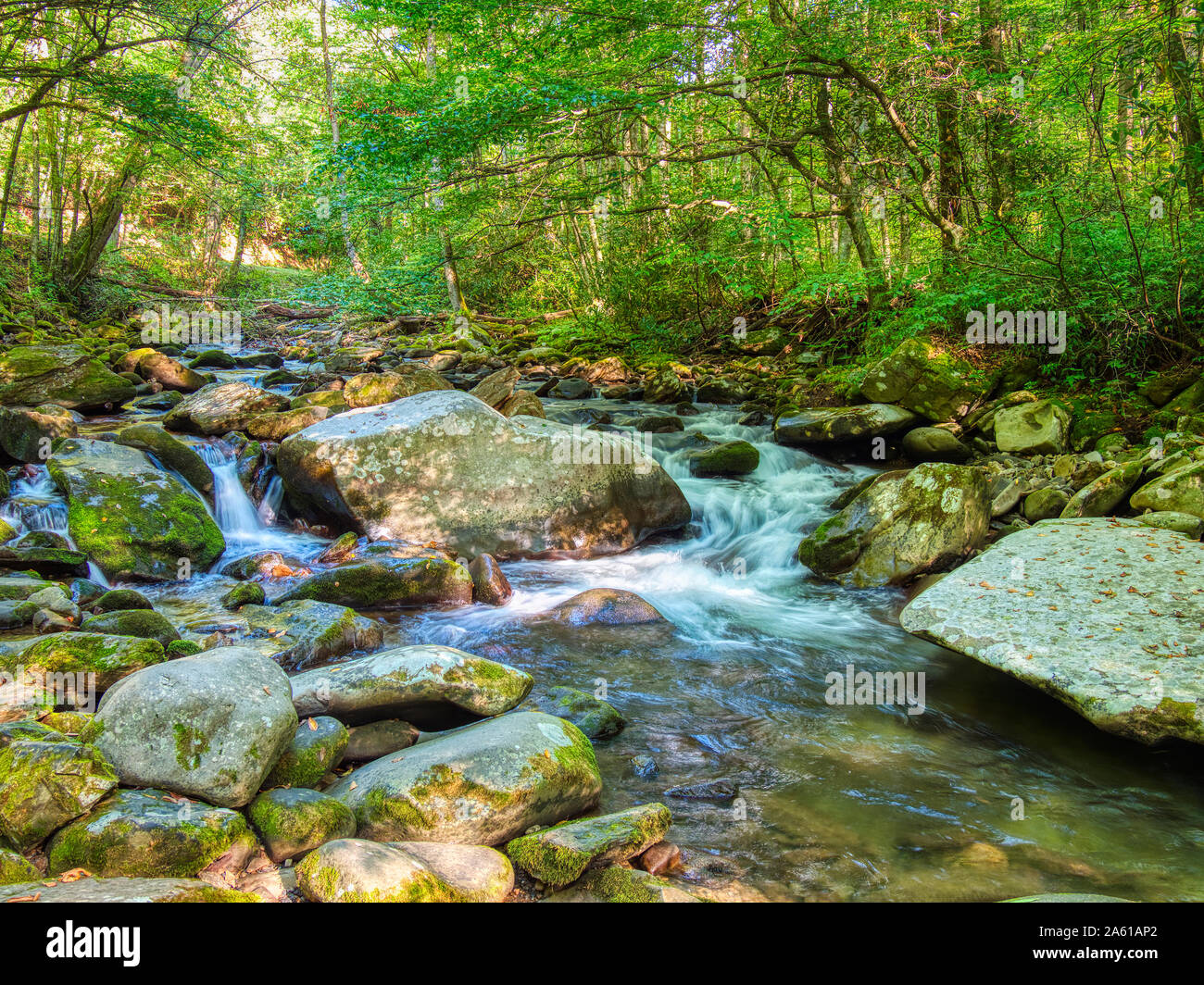 Middle Prong of the Little Pigeon River in the Greenbrier area of  Great Smoky Mountains National Park in Tennessee in the United States Stock Photo