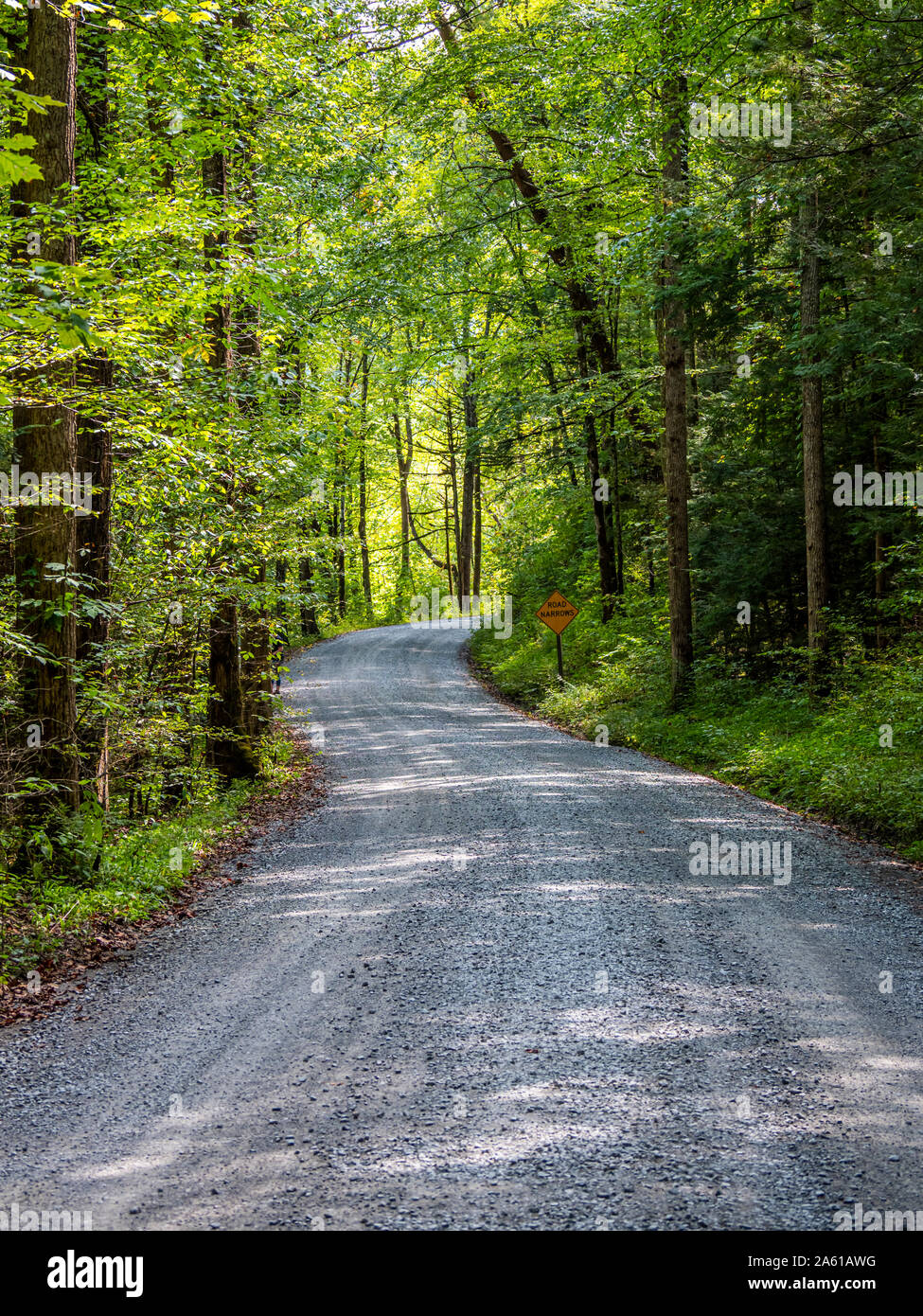 Gravel Greenbrier Road in the Greenbrier area of Great Smoky Mountains