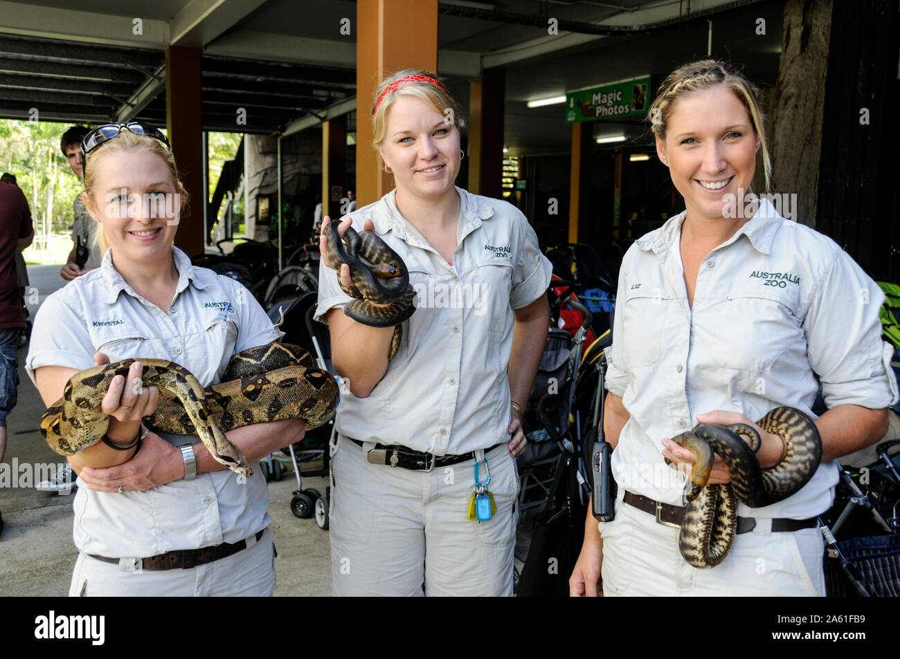 Keeper holding snake hires stock photography and images Alamy
