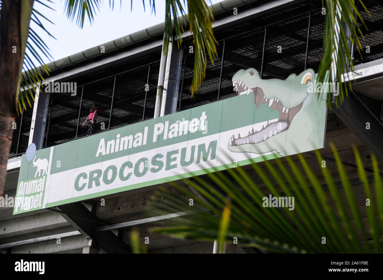 the Crocoseum at the Australian Zoo in Queensland, Australia Stock