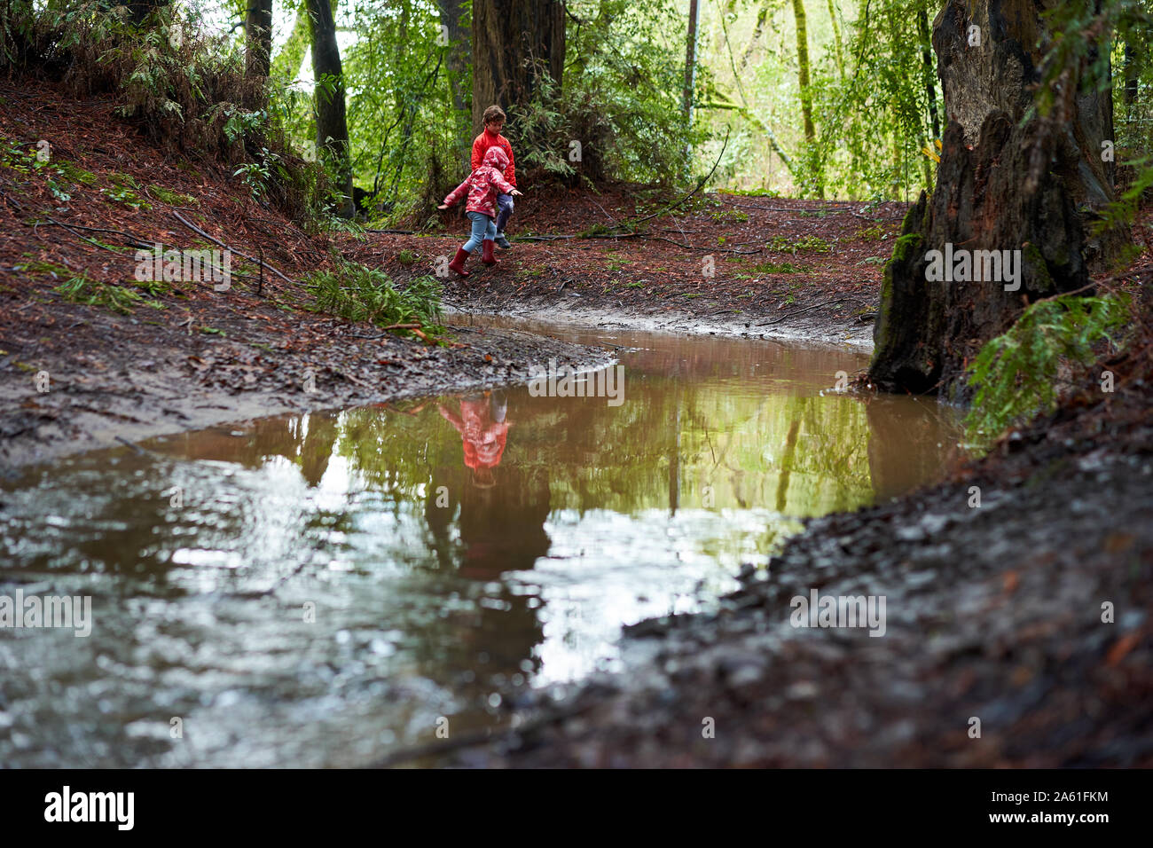 Siblings boy and girl wearing jackets and boots play near a creek among the redwood trees at Riverfront Regional Park, Sonoma County, California. Stock Photo