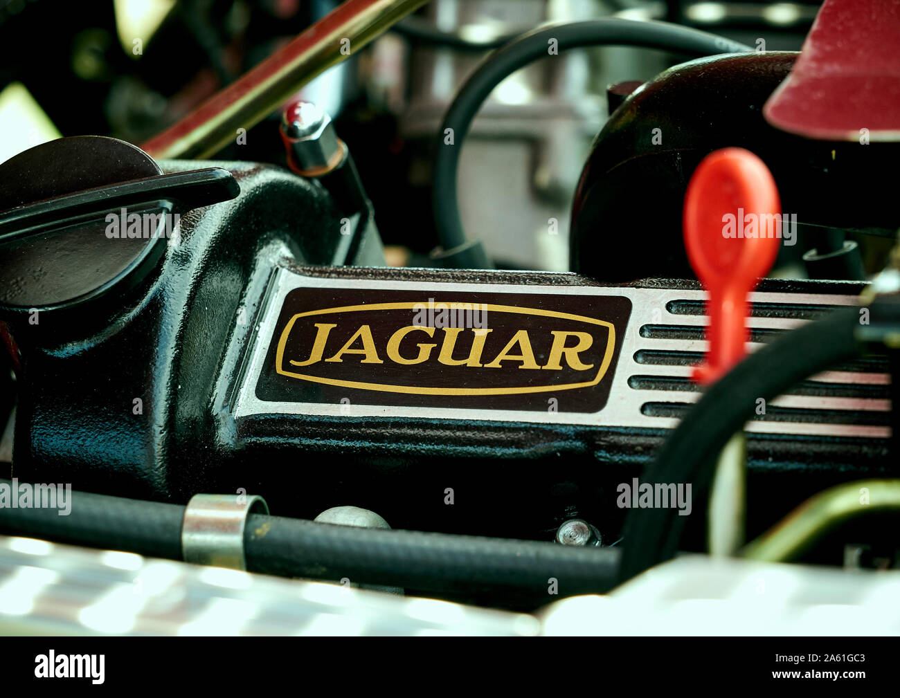 Detail of Jaguar E Type 4.2 Litre Engine, a two door British made sports car produced between 1961 and 1975. Stock Photo