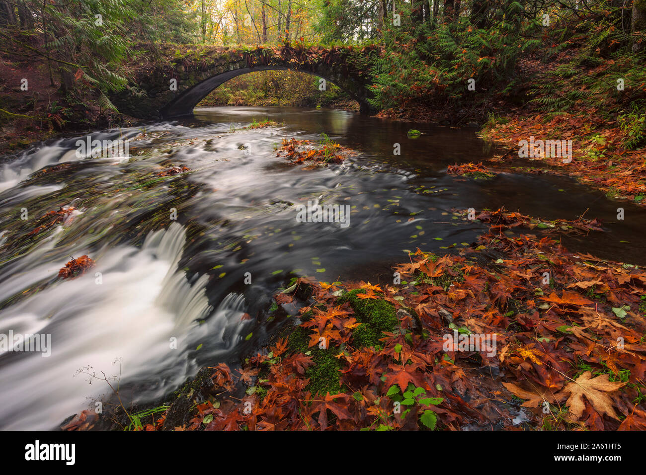 Old Stone Bridge and Shawnigan Creek in autumnMill Bay, British