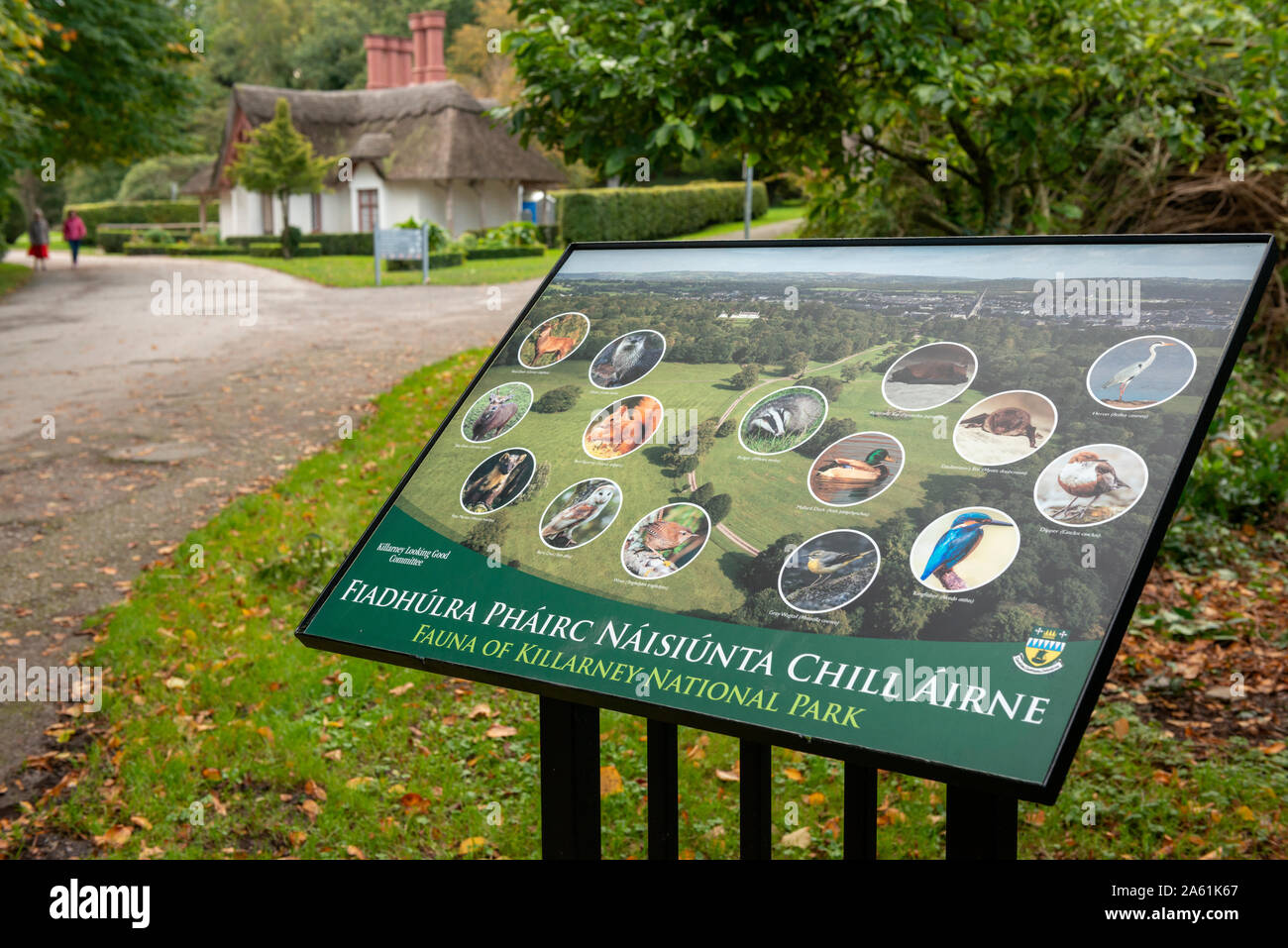 Fauna of Killarney National Park information board sign with pictures of the local animals at the Deenagh Cottage, Knockreer Estate Killarney, Ireland Stock Photo