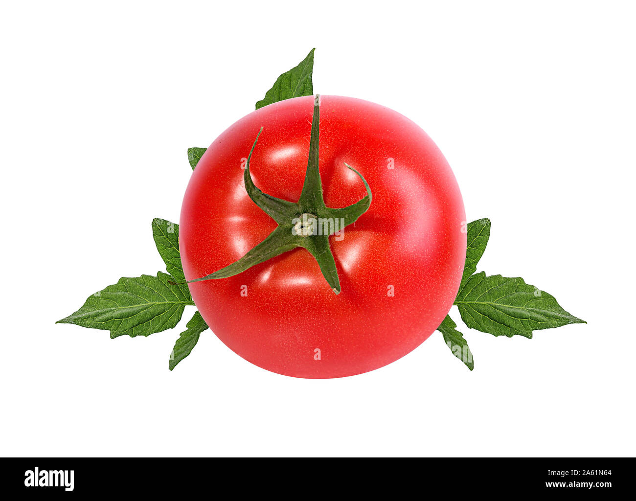 tomato isolated on white background Stock Photo - Alamy