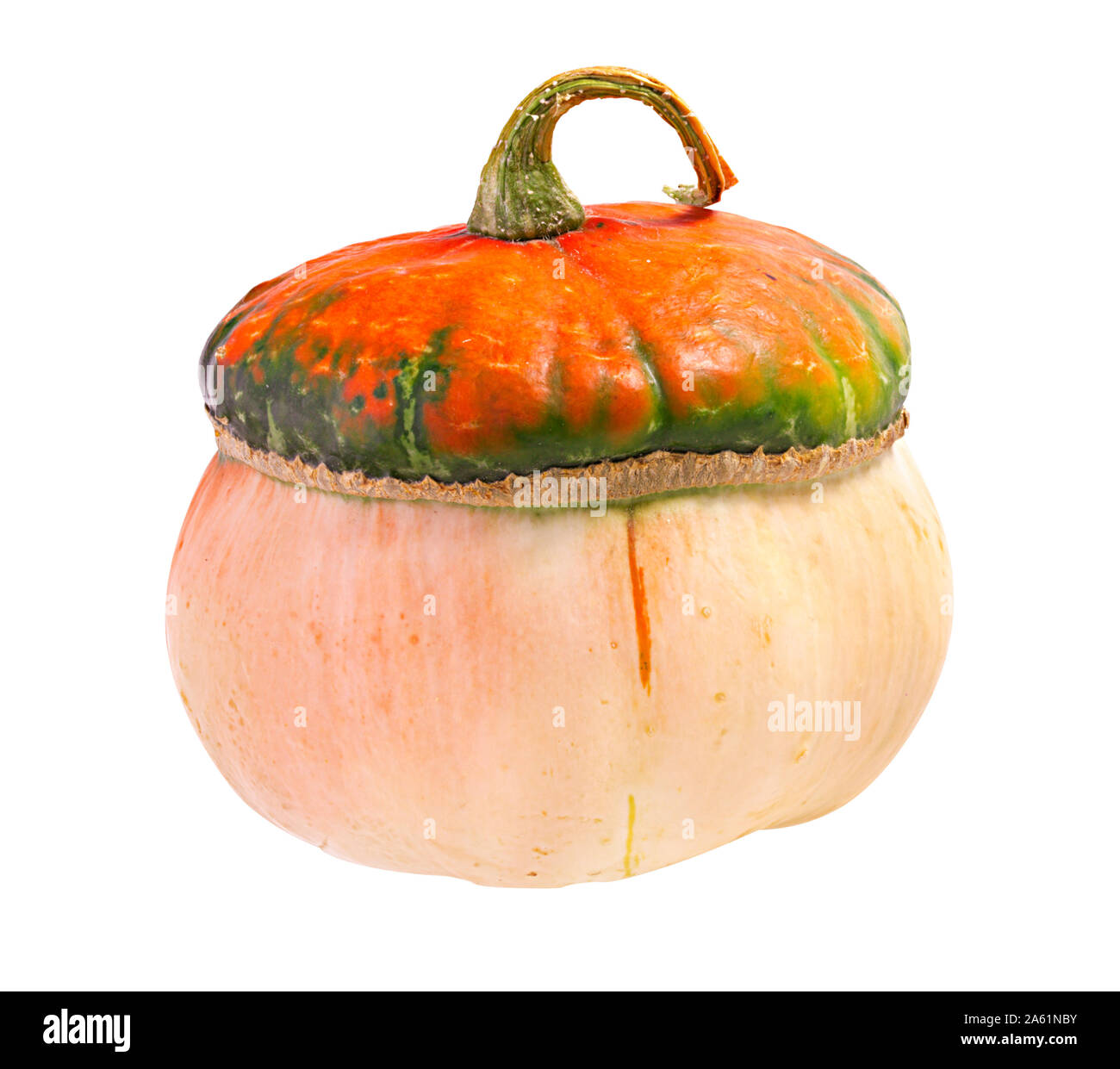 Pumpkins isolated on white background Stock Photo - Alamy