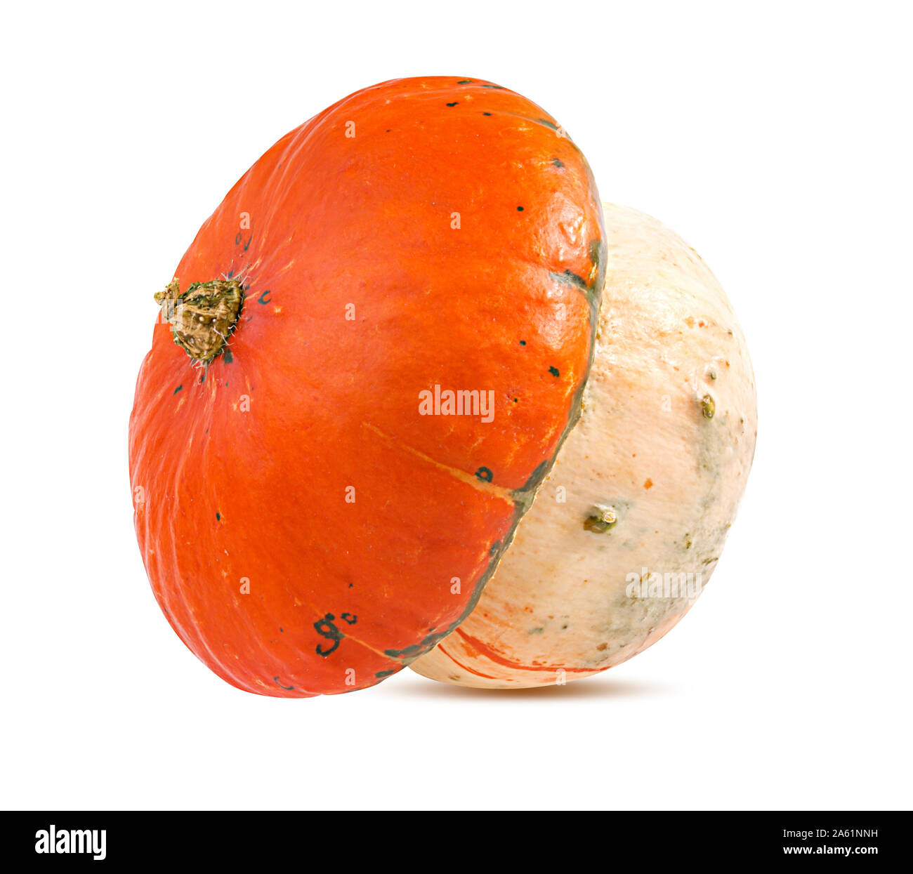 Pumpkins isolated on white background Stock Photo - Alamy
