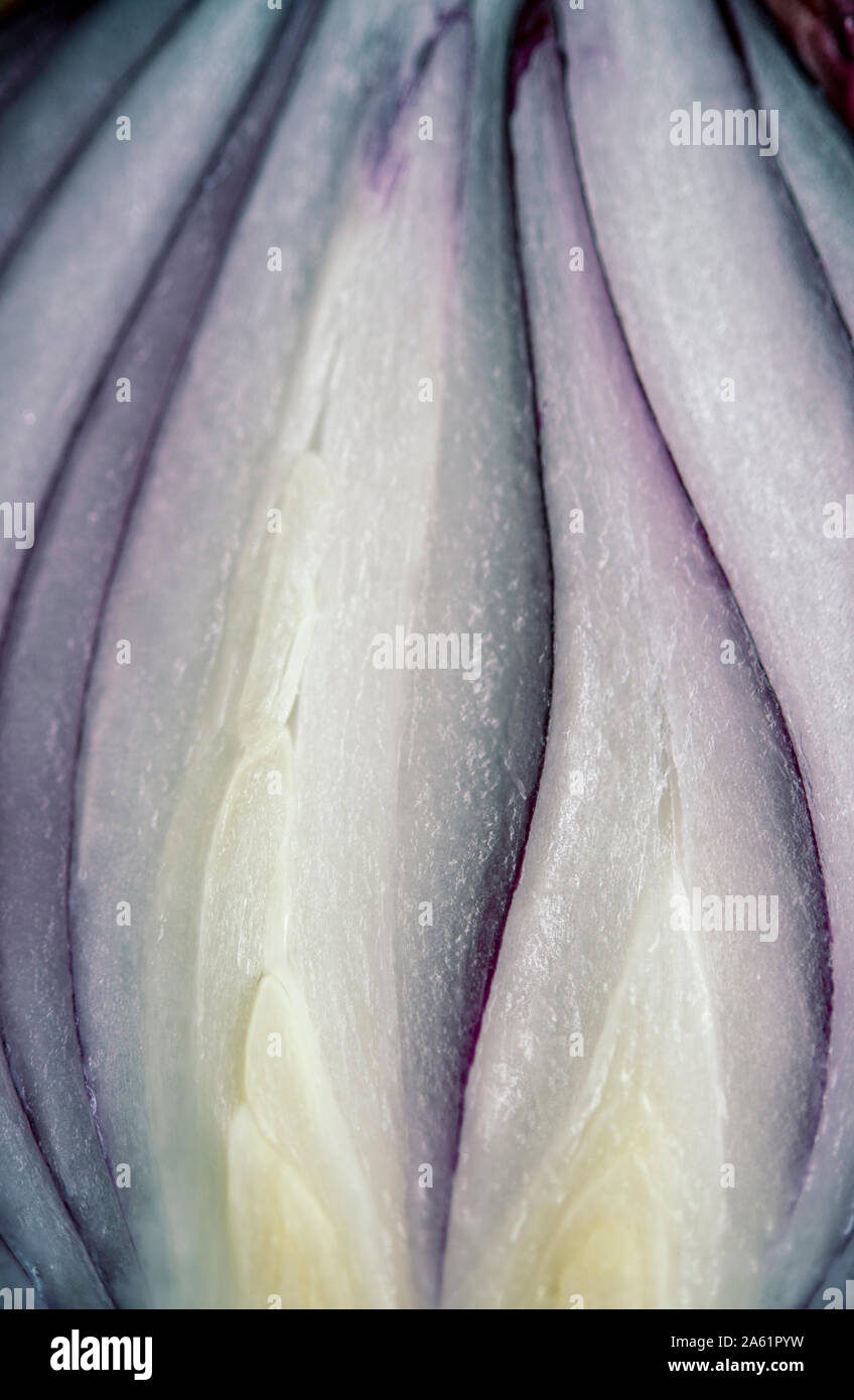 Red onion cut in half hi-res stock photography and images - Alamy
