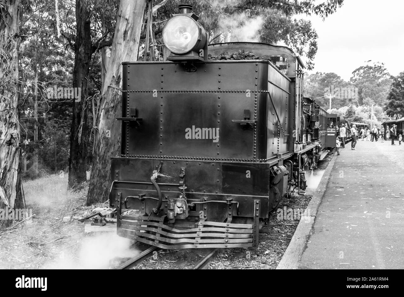 Melbourne, Australia - January 7, 2009: Puffing Billy steam train on the station. Historical narrow railway in the Dandenong Ranges near Melbourne. Stock Photo