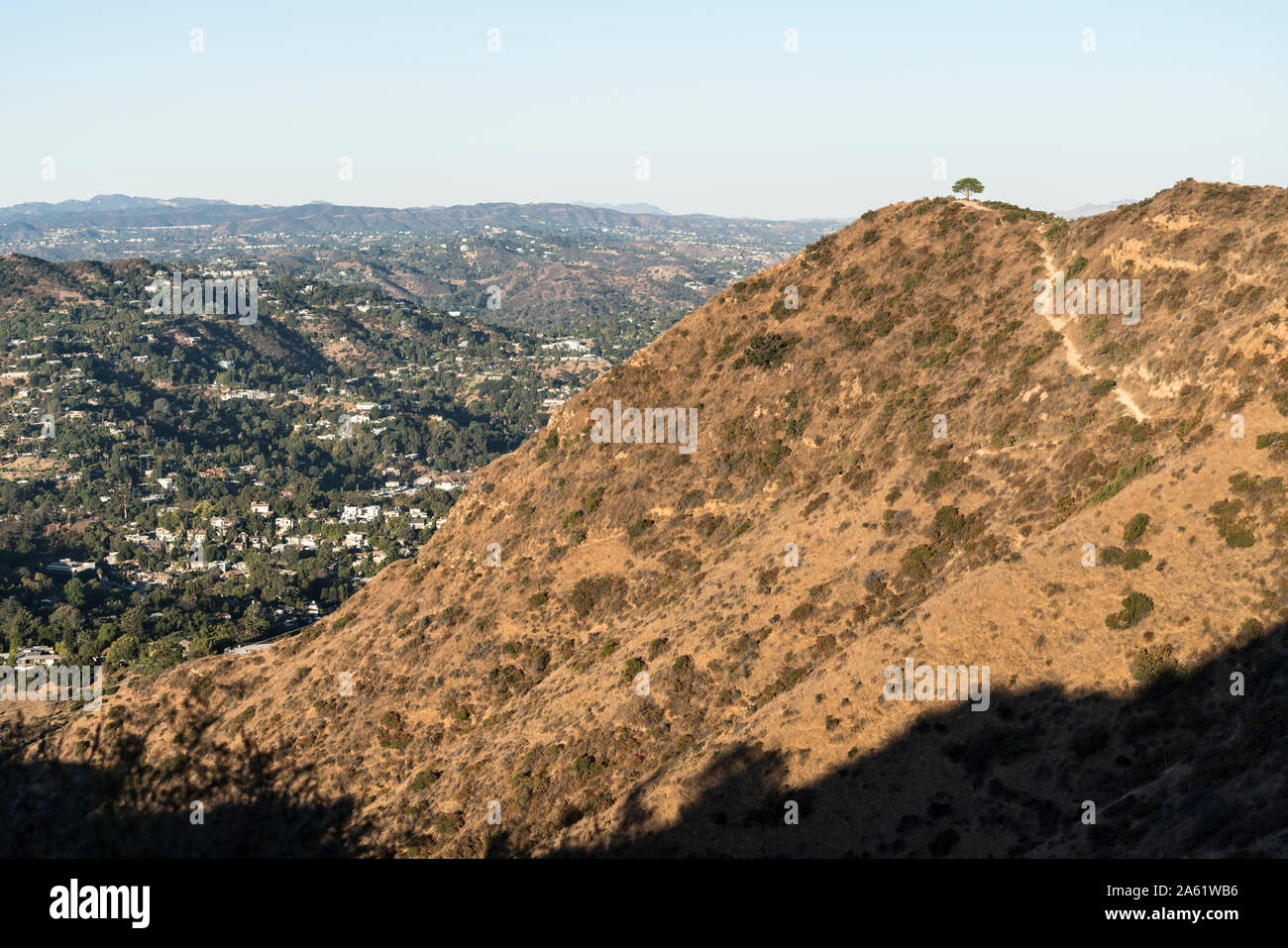 View of the Wisdom Tree Trail on Burbank Peak near Griffith Park in Los Angeles, California. Stock Photo