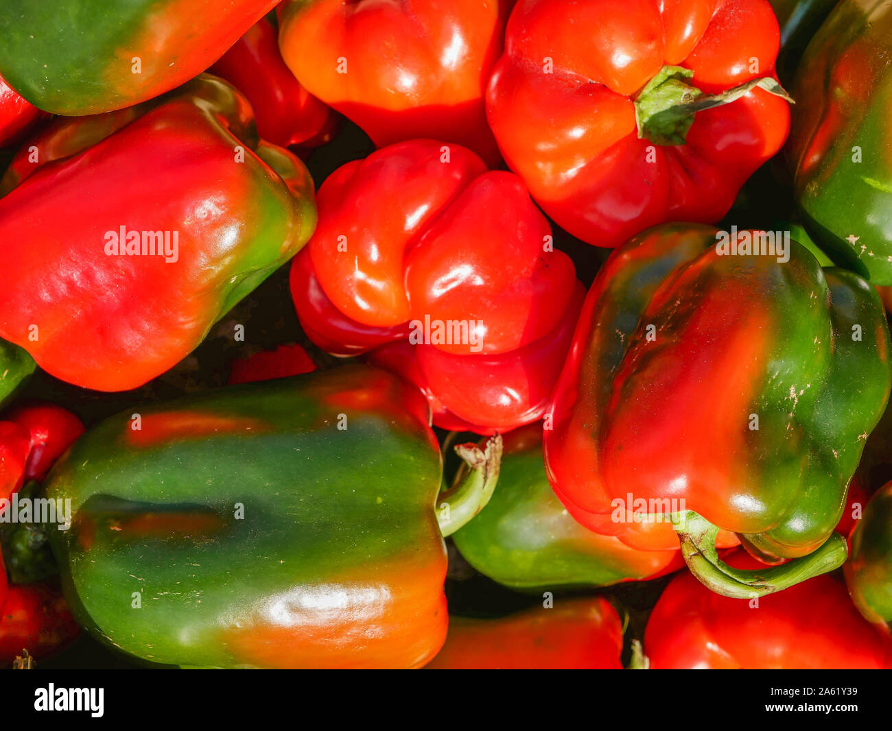 Kapia pepper hi-res stock photography and images - Alamy