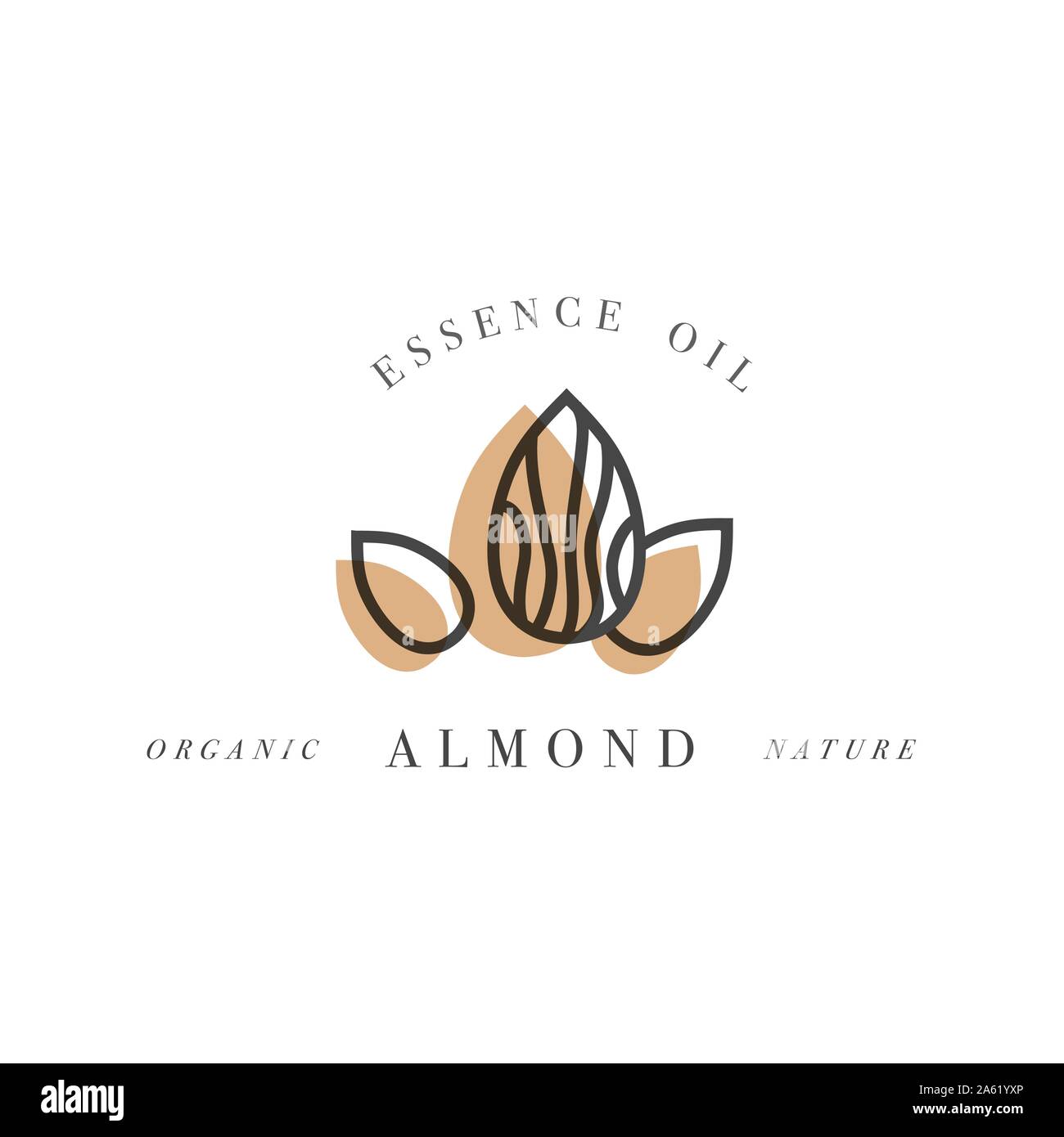 Vector set of packaging design templates and emblems - beauty and cosmetics  oil - almond. Logos in trendy linear style Stock Vector Image & Art - Alamy