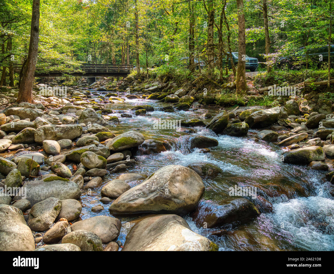 Little Pigeon River in the Greenbrier area of  Great Smoky Mountains National Park in Tennessee in the United States Stock Photo