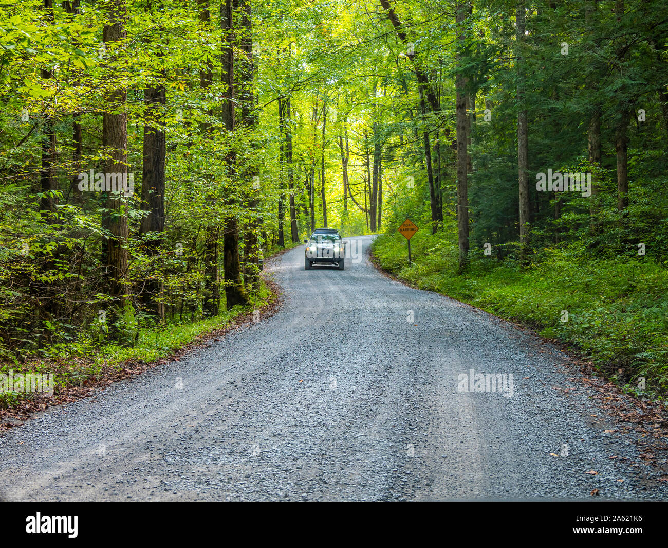 Gravel Greenbrier Road in the Greenbrier area of Great Smoky Mountains National Park in Tennessee in the United States Stock Photo