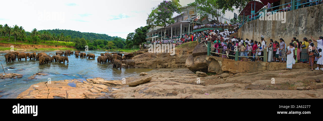 Pinnawala, Sri Lanka, Elephant Orphanage - July 2011: Singaporeans and tourists watch elephants at the river Stock Photo