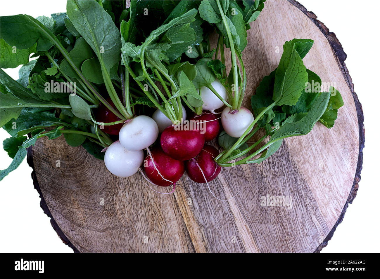 red and white radish with leaves on a wooden plate Stock Photo
