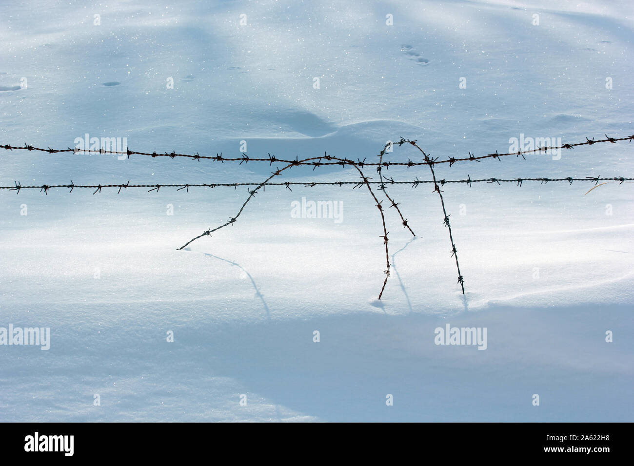 snow and barbed wire mesh Stock Photo