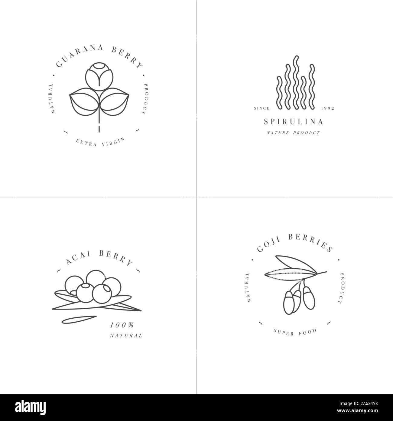 Vector set design templates and emblems - healthy eco food - camu camu, spirulina, goji berry and acai berry. Detox and weightloss supplements. Logos Stock Vector