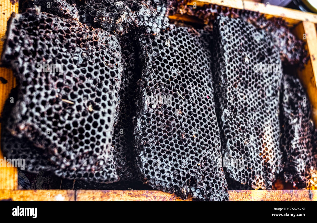 Honeycomb hotel hi-res stock photography and images - Alamy