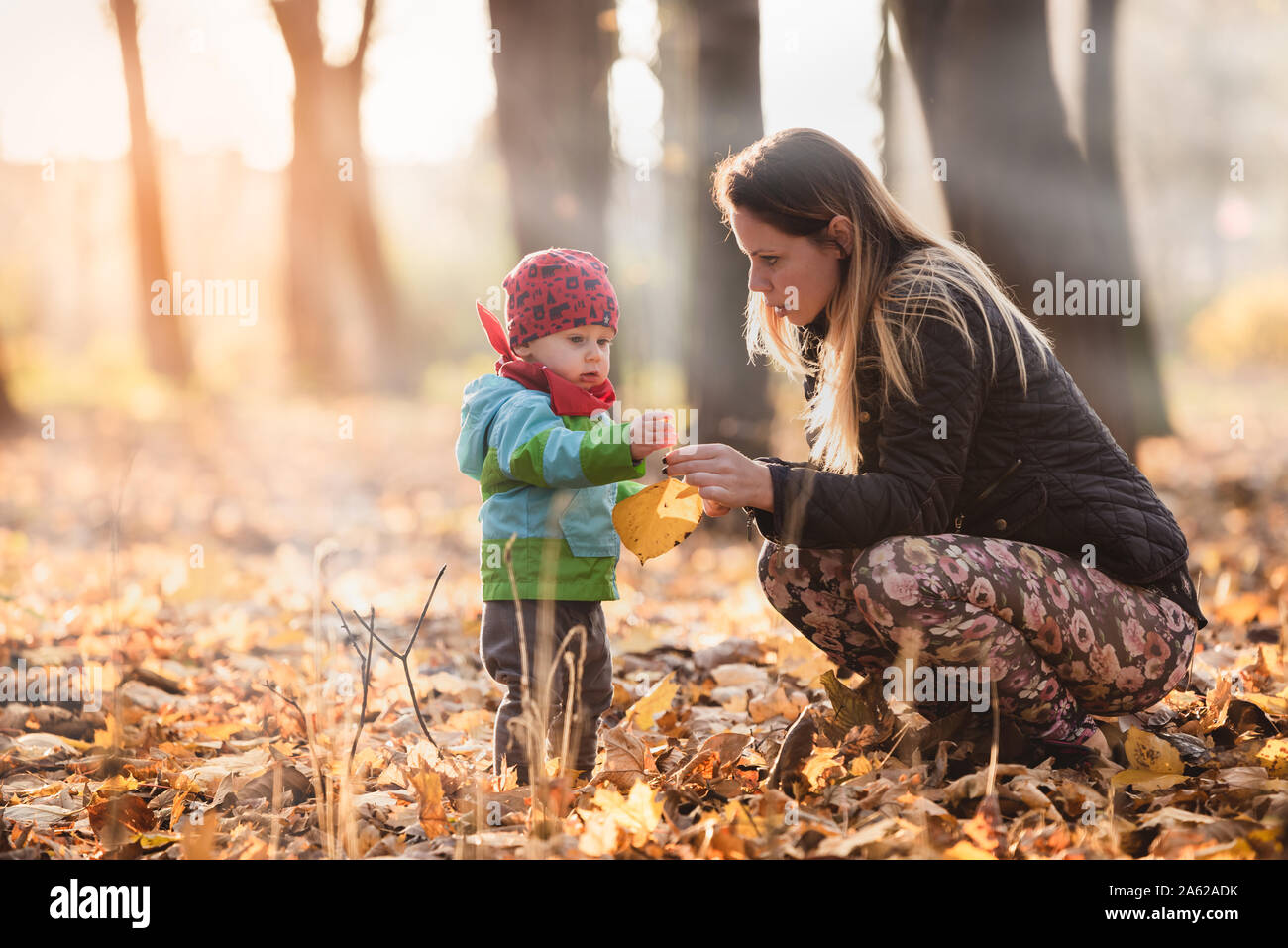 Mum educates her little child on a beautiful autumn day. Mother shows colorful leaves. Baby boy holds them in his hands. Unique atmosphere and mood. Stock Photo