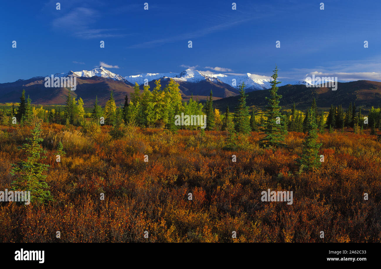 North America; United States; Alaska; Alaska Range Mountains; Tundra