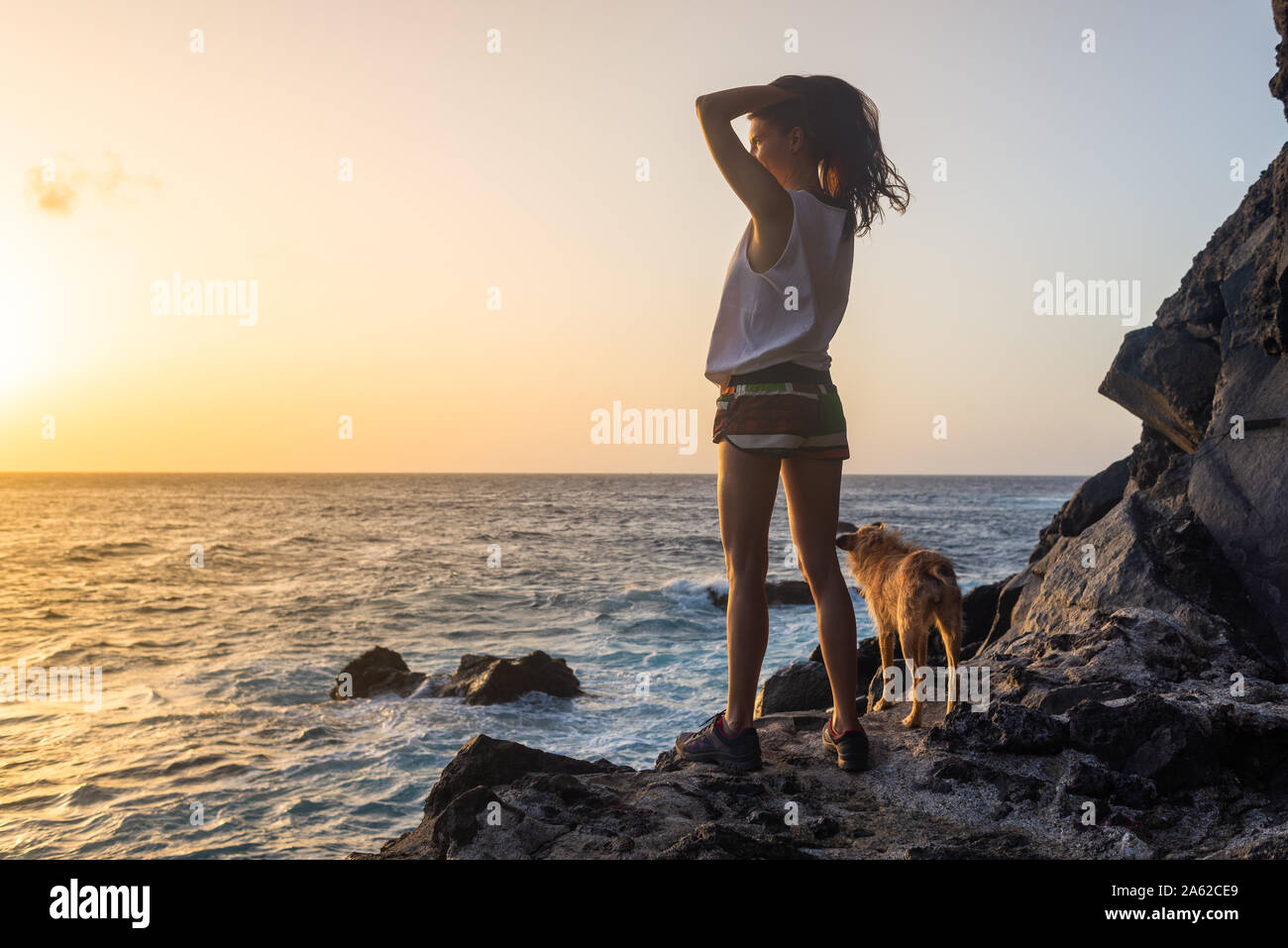 girl with her dog at sunset on the sea Stock Photo