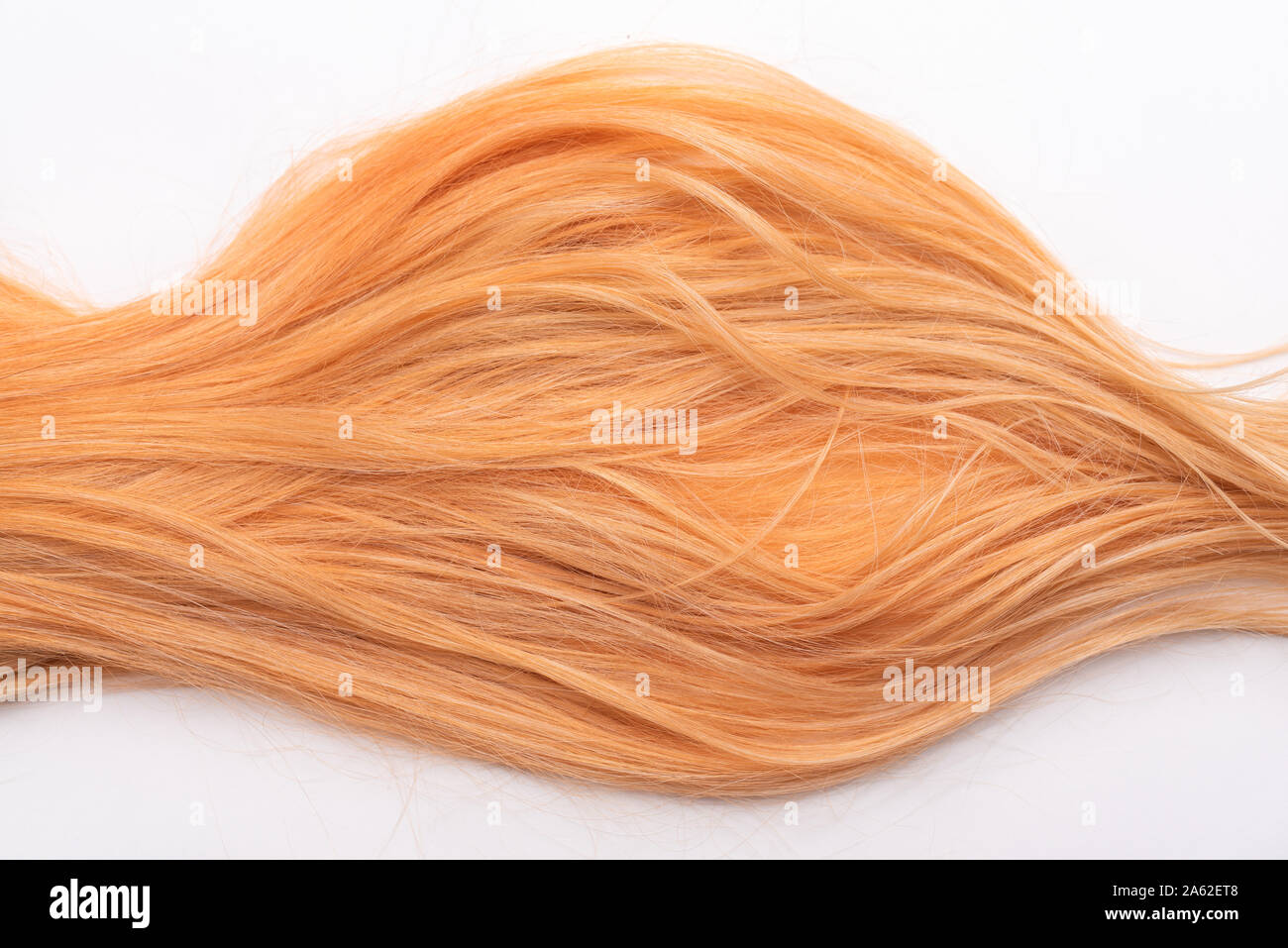 Human, natural honey-colored blond hair on white isolated background.  Stylish, fashionable colors this year. Honey blonde shaken, wave and  undulating Stock Photo - Alamy