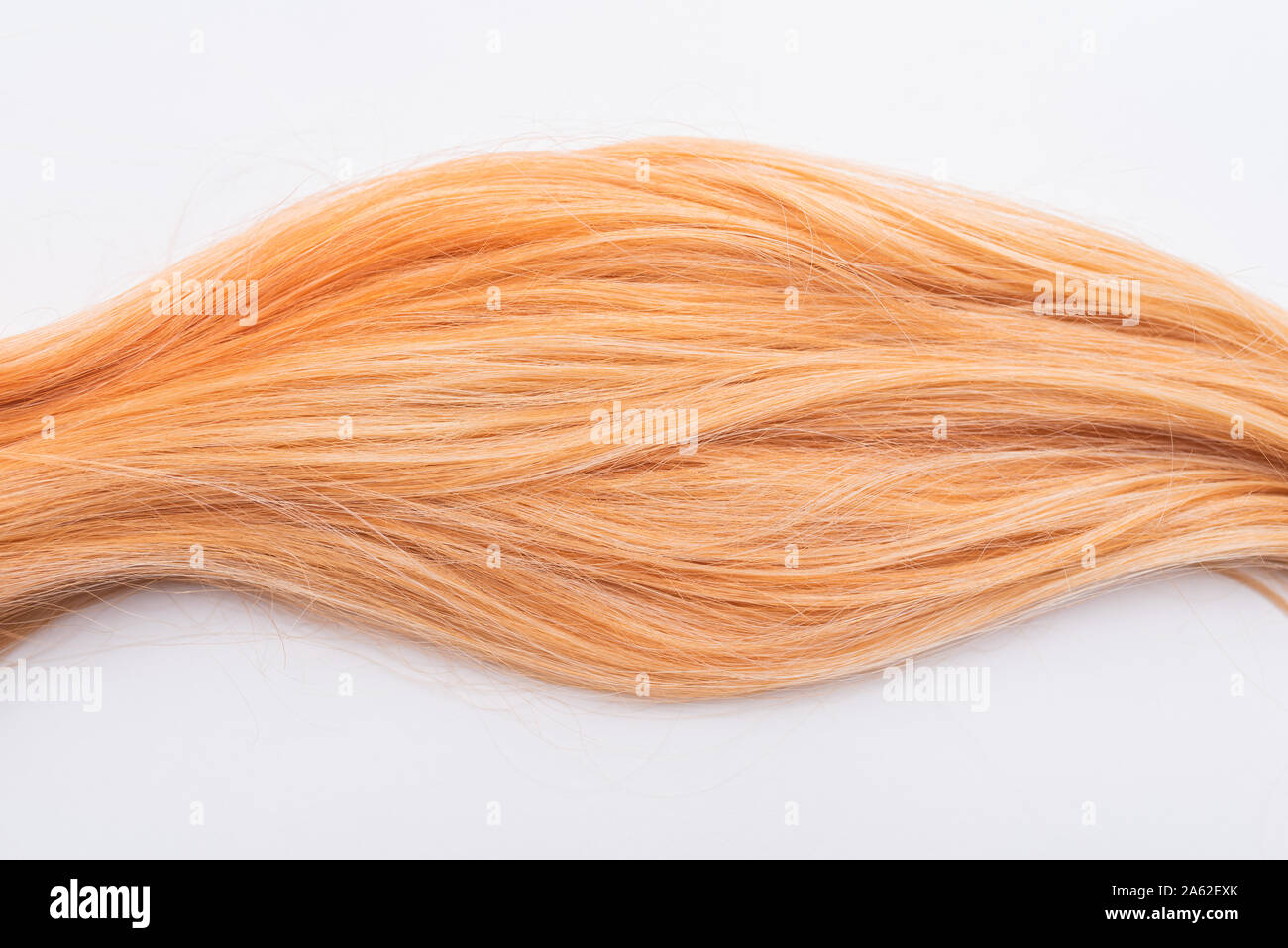 Human Natural Honey Colored Blond Hair On White Isolated