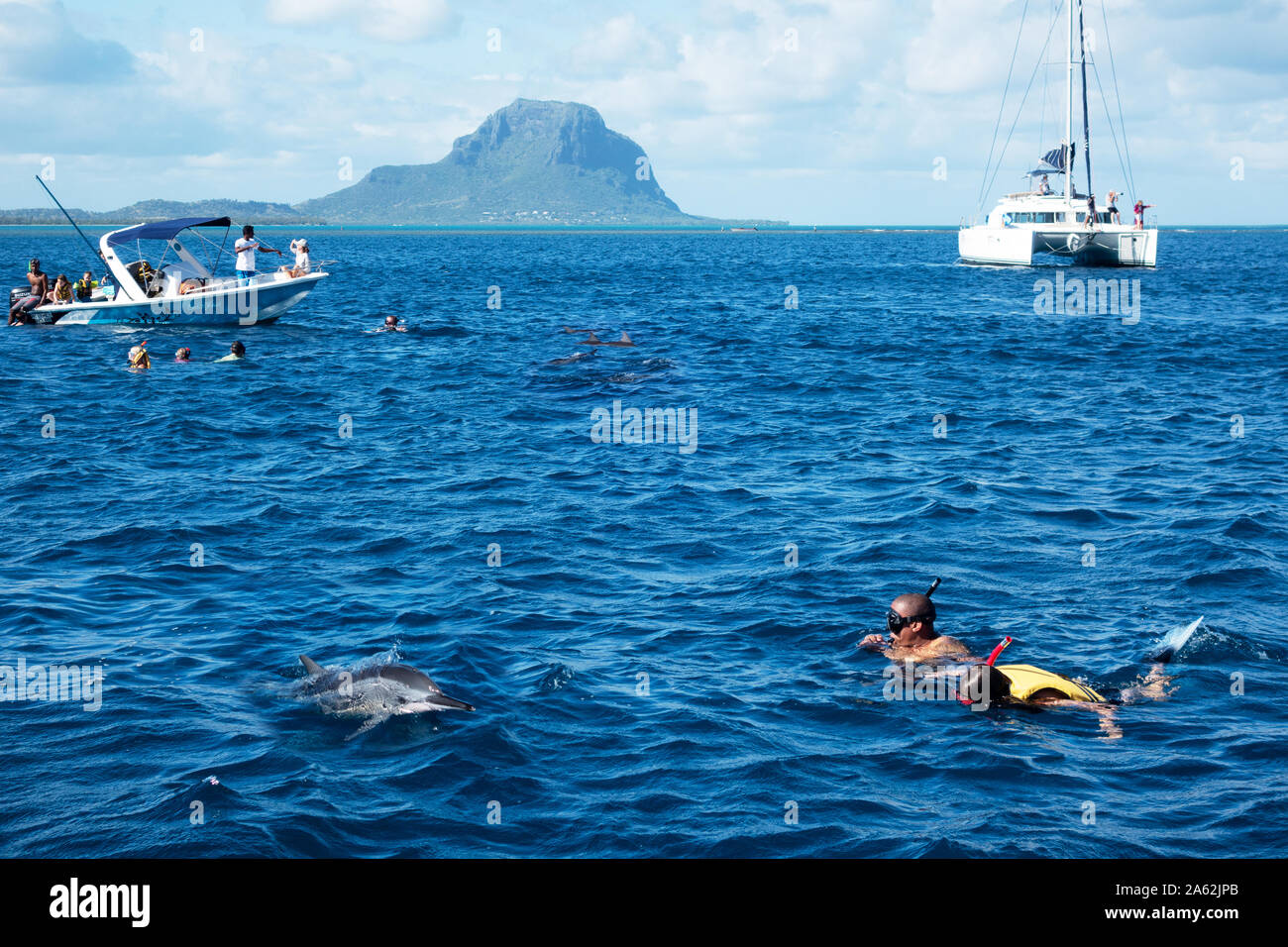 Mauritius dolphins - tourists snorkelling and swimming with dolphins in the Indian Ocean, Le Morne, Mauritius Stock Photo