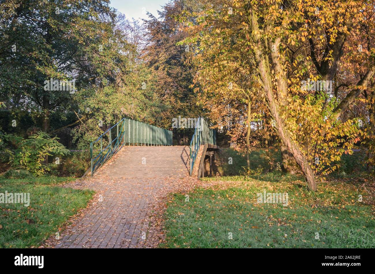 Urban autumn landscape. Bridge in a city park in autumn scenery. Stock Photo
