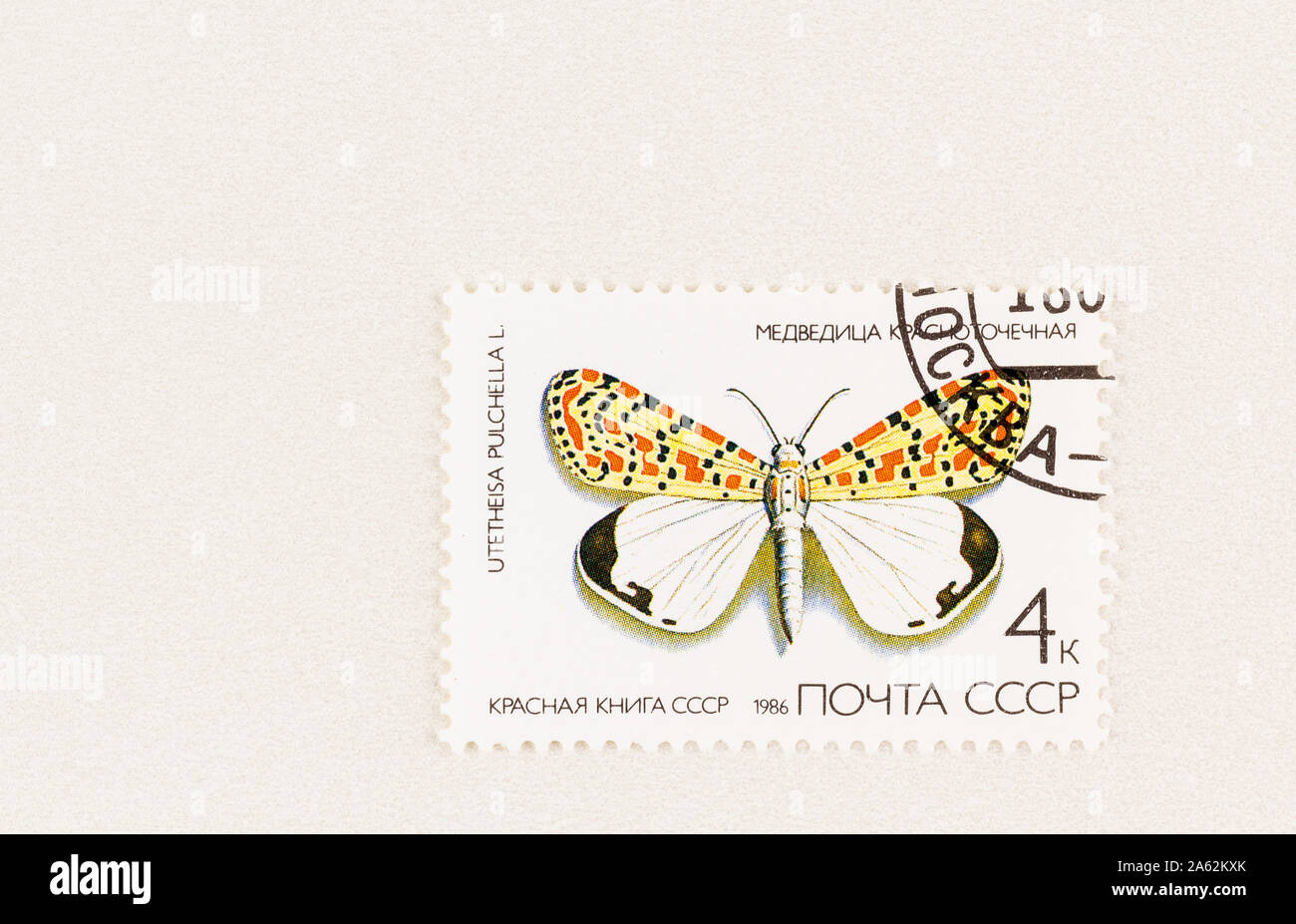 Close up of CTO Russian postage stamp with crimson speckled moth on white background. Utetheisa pulchella, Scott 5435. Issued 1986. Stock Photo