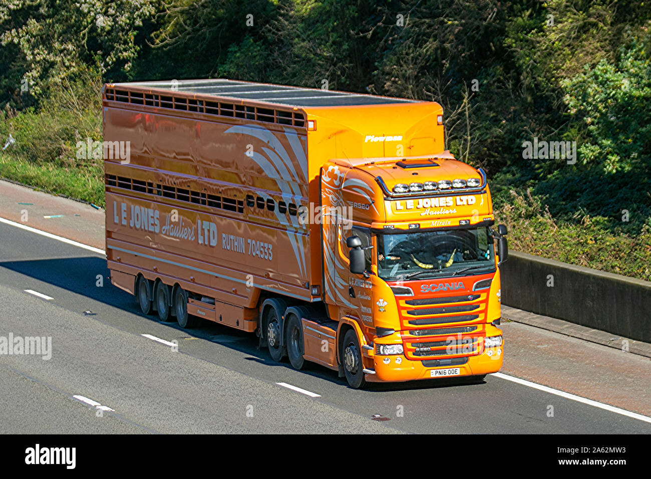 L E JONES Hauliers Ruthin livestock haulage companies; Haulage delivery trucks, lorry, transportation, truck, cargo, Scania R520 vehicle, delivery, commercial transport, industry, supply chain freight, on the M6 at Lancaster, UK Stock Photo