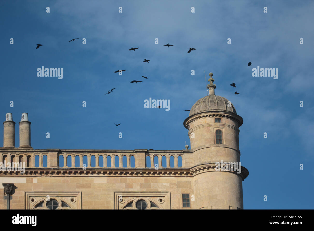 Crows circling the tower of Wollaton Hall in Nottingham Stock Photo