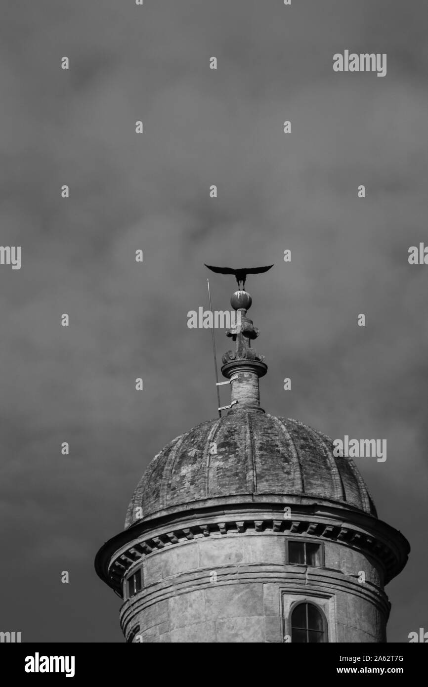 Black and white image of crows circling the tower of Wollaton Hall in Nottingham Stock Photo