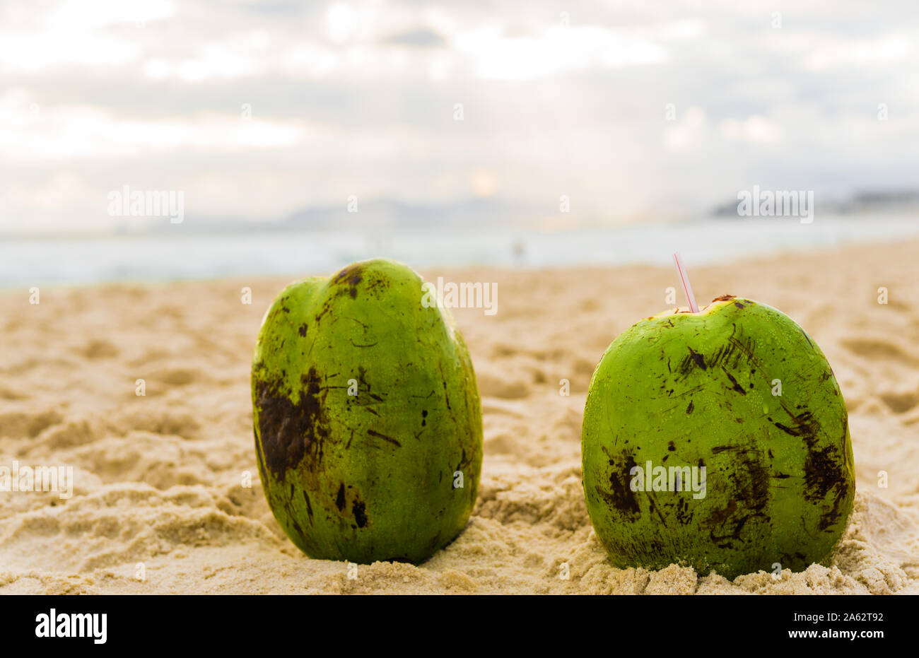 Two fresh coconuts on the beach in a resort city with sea ocean Stock