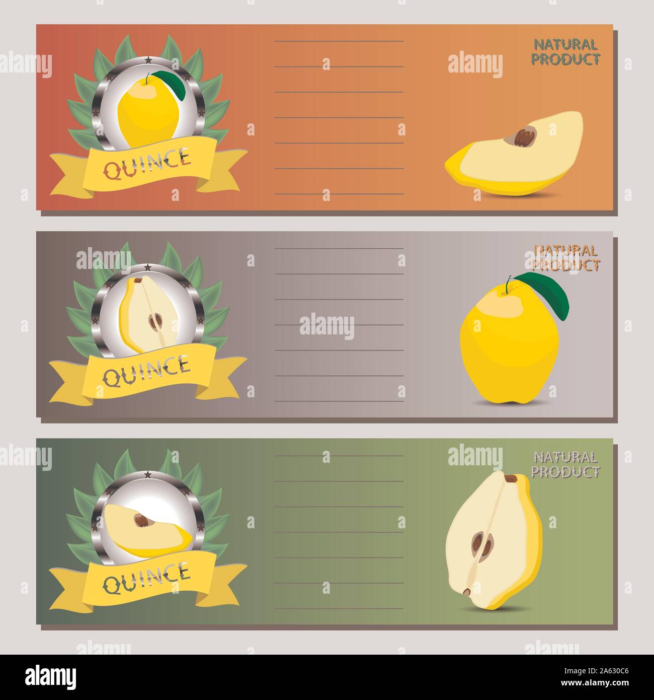 Quince vector vectors hi-res stock photography and images - Alamy