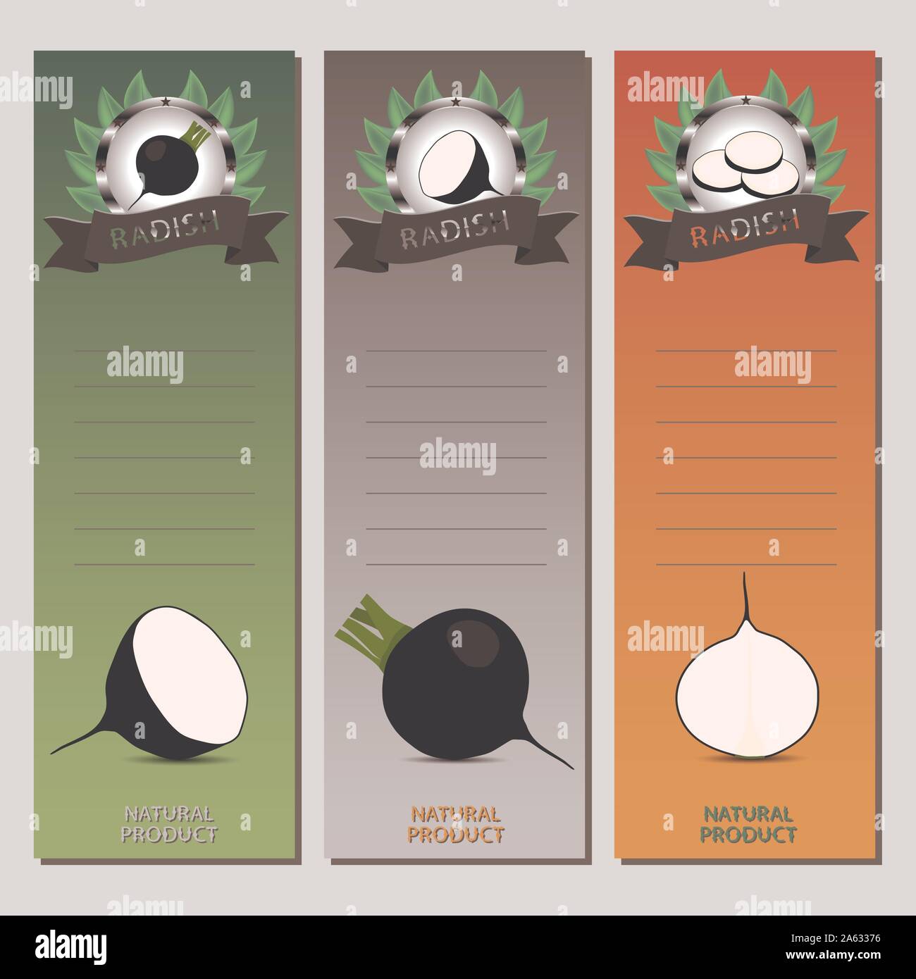 Vector icon illustration logo for whole ripe vegetable black radish ...