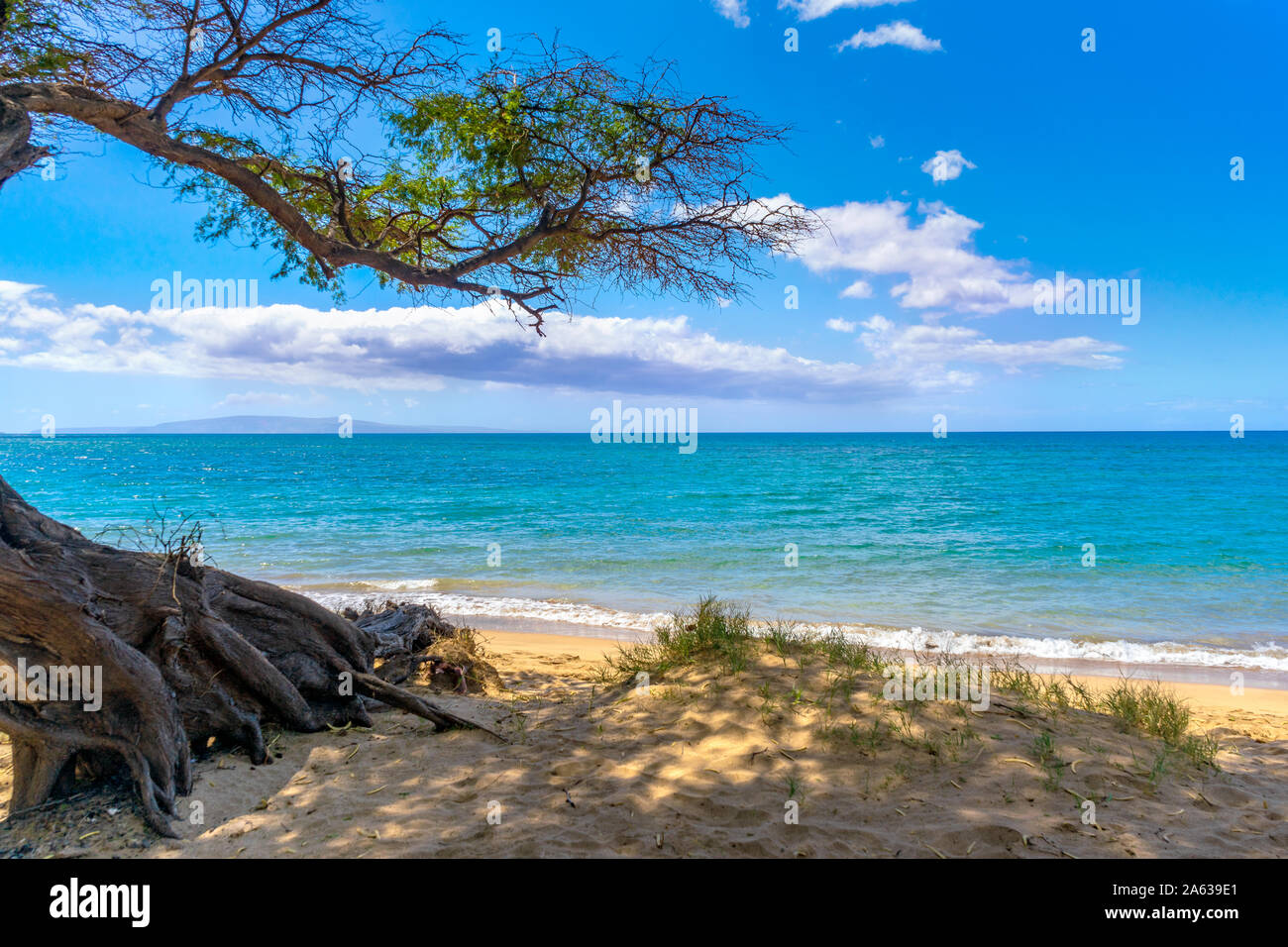 Hawaii relaxing view hi-res stock photography and images - Alamy