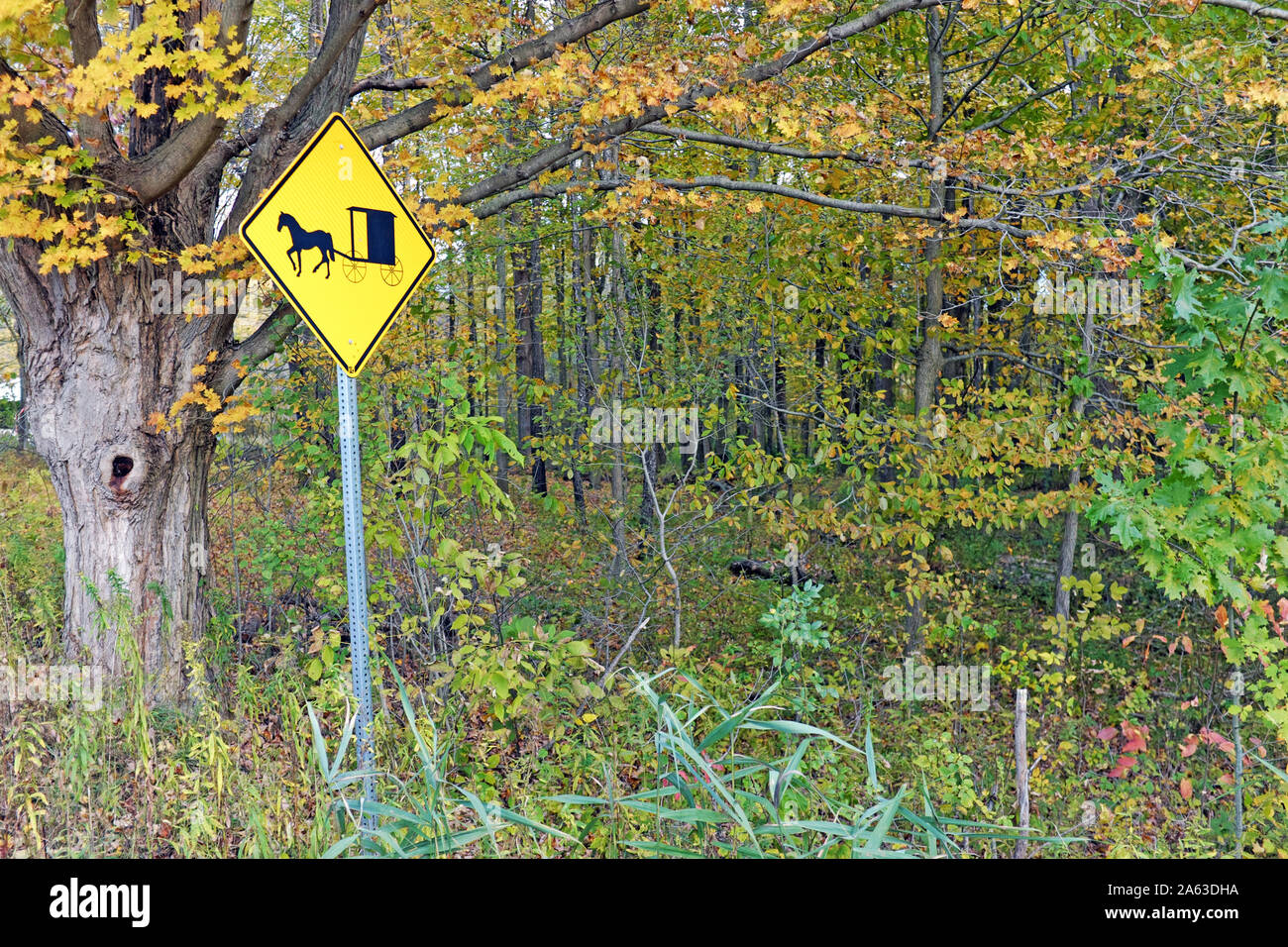 A yellow and black road sign warning drivers of the presence of horse and carriage transportation in the area populated by the Ohio Amish community. Stock Photo